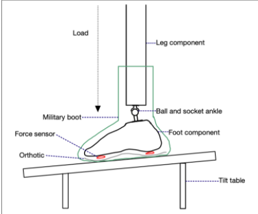  Lower-limb model secured into a military boot fitted with an orthotic insole. This assembly will be used with the Tinius Olsen to obtain desired quantitative v